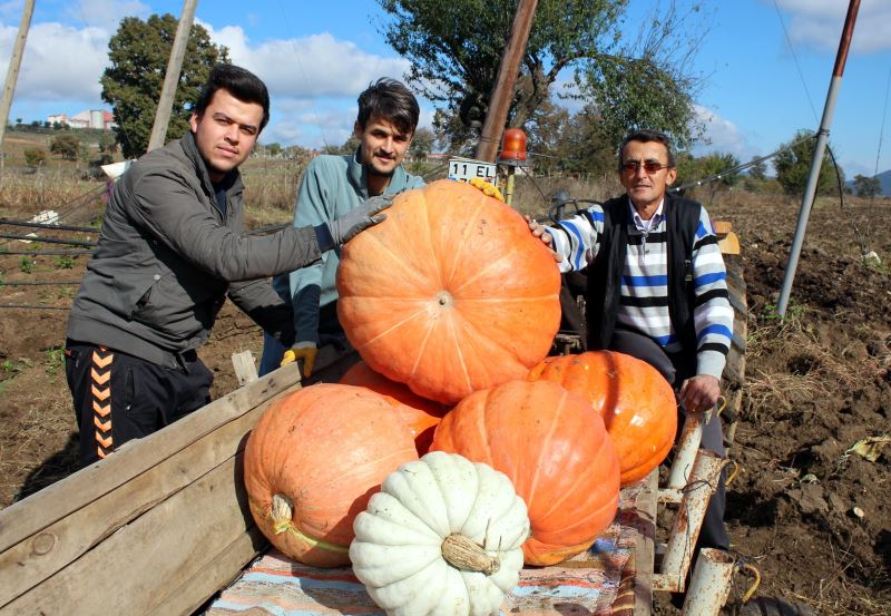 Фото emre kabak